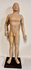 Akupunkturmodell Männlich ca. 72cm hoch auf Sockel im Top Zustand