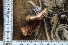 Charivari Anhänger tolle Fassung 835er Silber großes Krickerl Abnormer