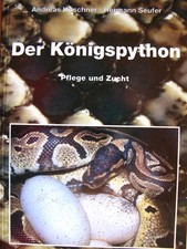 Python regius - Der