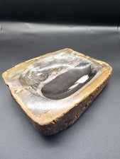 Versteinertes Holz,Schale,2950gramm,19x15x5,5cm,Insel Java.