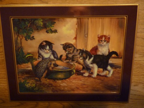 Bradex katzen mit igel - ,,katzen,