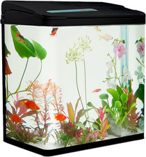 Aquarium Komplettset 30 Liter