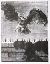 Karl-Georg Hirsch / Leipzig, "Eule", Holzstich, handsigniert, 1976 (1658)