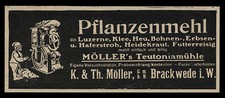 Alte Reklame 1917 Pflanzenmehl Teutonia-Mühle K. & Th. Möller Brackwede i. W.