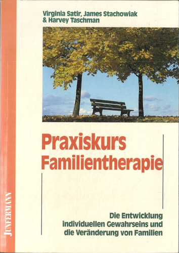 Praxiskurs familientherapie - praxiskurs,