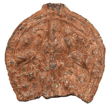 INTERESSANTES UNERFORSCHTES