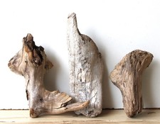 Treibholz Schwemmholz