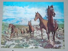 3D Bild Pferde, für Pferdeliebhaber , rechteckig