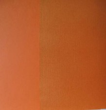 15 x A4 1-seitig orange