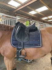 Acavallo Raffaello Dressage