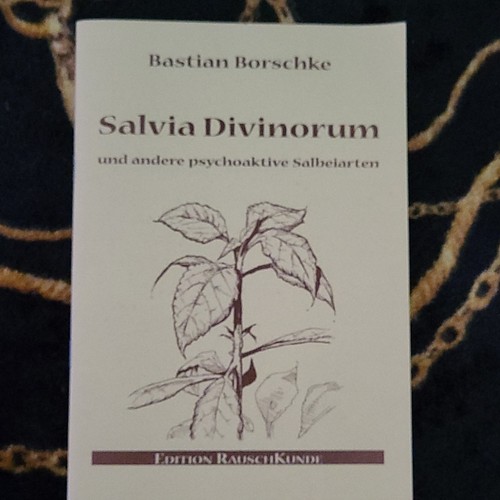 Edition rauschkunde salvia - edition,