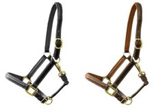 Lederhalfter Exquisit super weich unterlegt 2- fach verstellbar Pony - Kaltblut