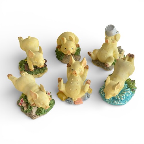 Lustige schweine fröhliche - schweine,