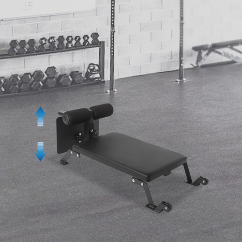 Curl workout bank - curl,