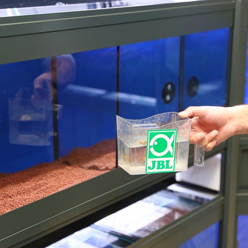 Jbl fischfangbecher fangbecher - jbl,