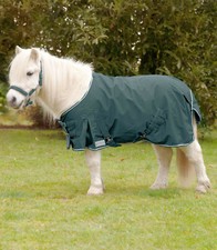 Shetty Pony Regendecke