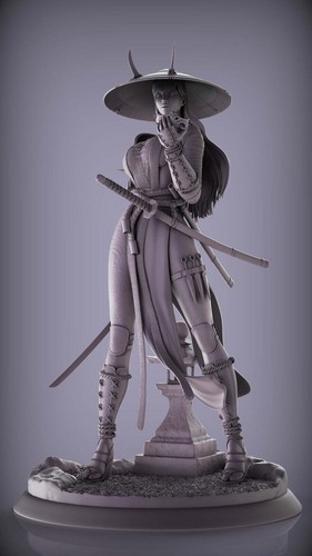 Samurai woman printed model - woman,