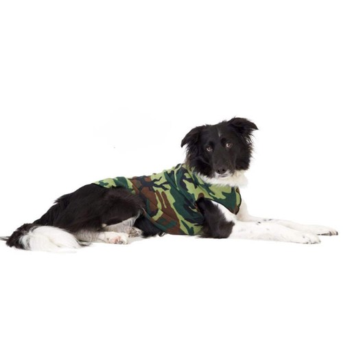Hundepullover goldpaw stretch - hundepullover,