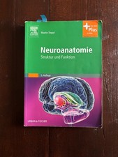 Neuroanatomie - Struktur und