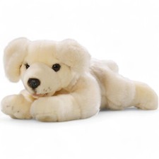 Carl dick golden retriever - carl,
