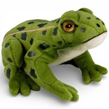 Carl Dick Frosch, Teichfrosch