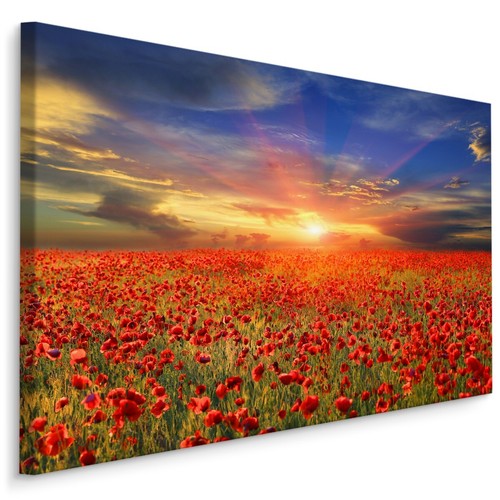 Canvas leinwand bilder xxl - leinwand,