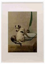 Graf Maud 1864 1943 Power Dog