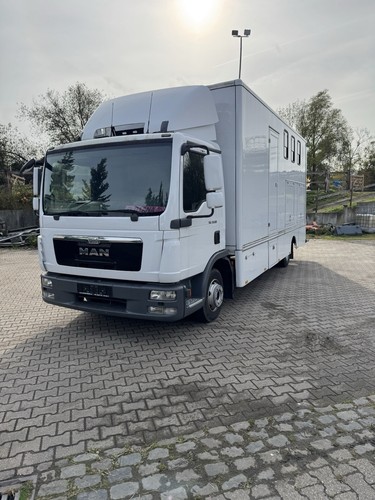 Pferdetransporter