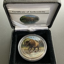 Bison Full Colour Finish