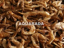 Süsswasser Shrimps