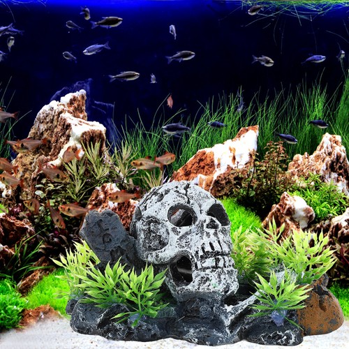Aquarium dekoration totenkopf - aquarium,