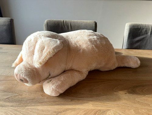 Großes schwein sissi liegend - sissi,