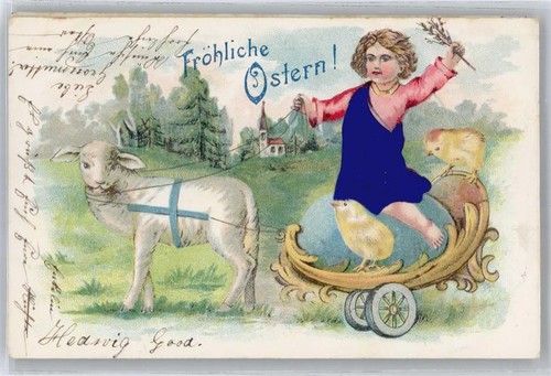 50557397 schaf zieht - zieht, wagen
