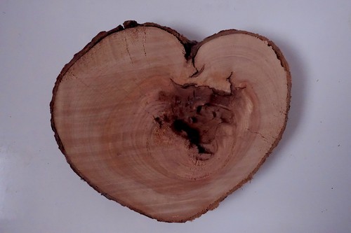 Herz baumscheibe valentinstag - baumscheibe,