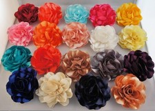 Haarblume Haarblüte