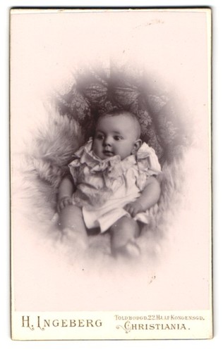 Fotografie ingeberg - fotografie,