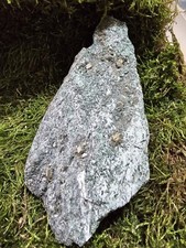 Pyrit,Habachtal,14x6x4cn.