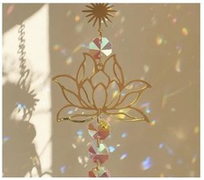 Lotosblume Lotusblume