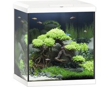 Aquarium juwel vio cube - juwel, l