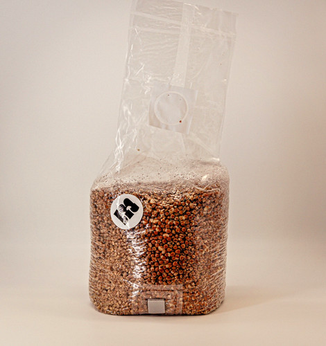 2kg bio weizen - 2kg, pilzsubstrat