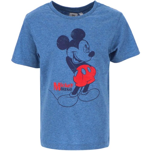 Mickey mouse shirt - mouse, t-shirt