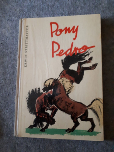 Pony