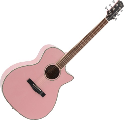 Pinke grand auditorium - pinke,