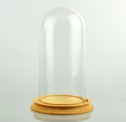 Klare runde glaskuppel mit - klare,