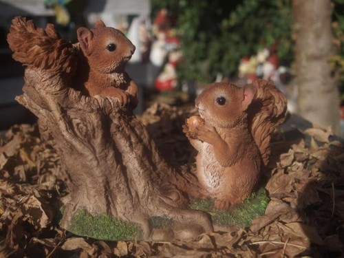 Eichhörnchen spielend deko - spielend,