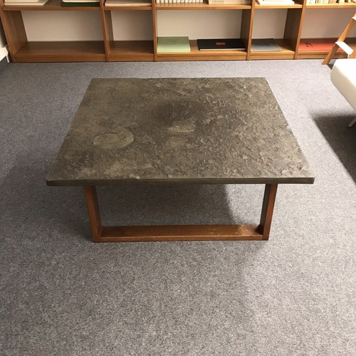 Einzigartiger fossiltisch - einzigartiger,