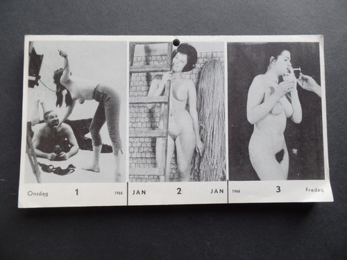 Pin kalender 1964 365 - pin, up