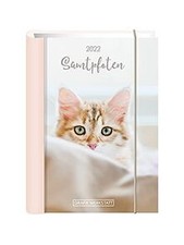 Terminplaner 2022 Samtpfoten: Terminplaner Hardco... | Buch | Zustand sehr gut