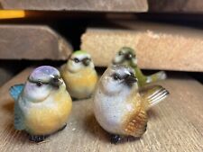 4 Vögel Gartenvögel aus