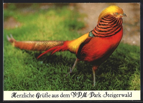 Ansichtskarte geiselwind - ansichtskarte,